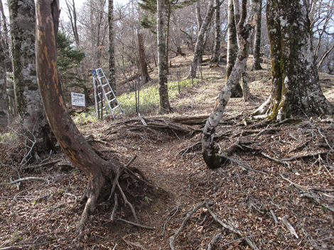 20190108hike (364)